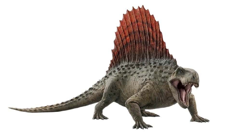 7 dinosaurus unik: Dimetrodon